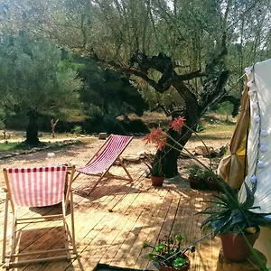 Romantic Safari Tent Tortosa